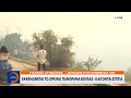 Ο εκπρόσωπος Τύπου Πυροσβεστικής για τη φωτιά στο Πανόραμα Βούλας