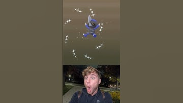 ✨Shiny Pawniard HATCHED In Pokemon Go!✨ #pokemon #shorts