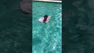 Havuzda Eğlence Üzmek