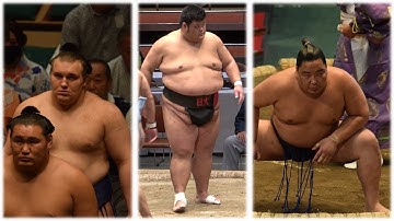 Aonishiki urged to lead "new era"; 3 other promotions + 4 retirements (Sumo News, Nov 26th)