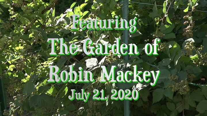garden spaces robin mackey episode 1
