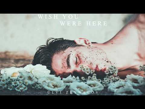 Wish You Were Here