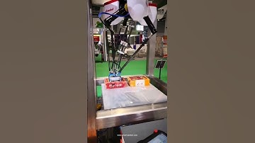 Automatic robot hand sorting organizing carton box moving hand feeder conveyor system
