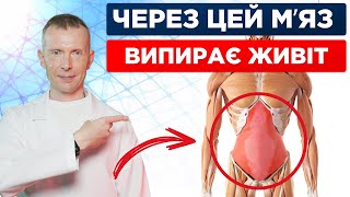 картинка: Випираючий живіт, нетримання сечі, гіперлордоз, біль у попереку, діастаз і все через ЦЕЙ м'яз