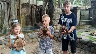 парк рептилий Бали Bali Reptile Park