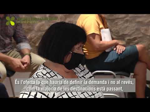 Vídeo: Quins Factors Interns Afecten El Desenvolupament Del Turisme