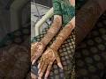 #heena #minivlog #mehndi #bavla