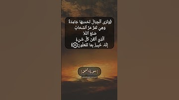 سورة النمل الآية ٨٨ بصوت الشيخ محمد صديق المنشاوي
