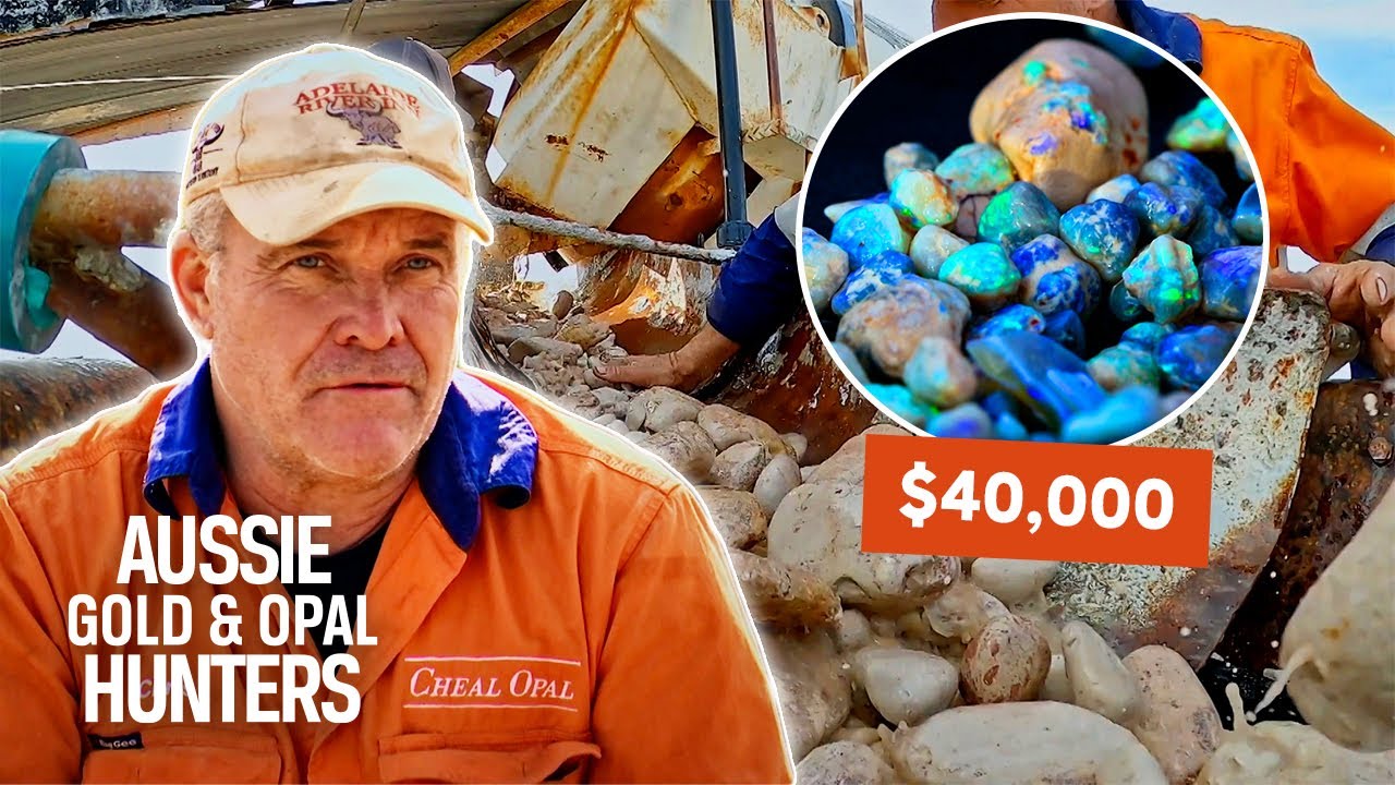 The Cheals Discover 40,000 Worth Of Rough Nobby Opal Outback Opal Hunters YouTube The Cheals Discover 40,000 Worth Of Rough Nobby Opal Outback Opal Hunters YouTube