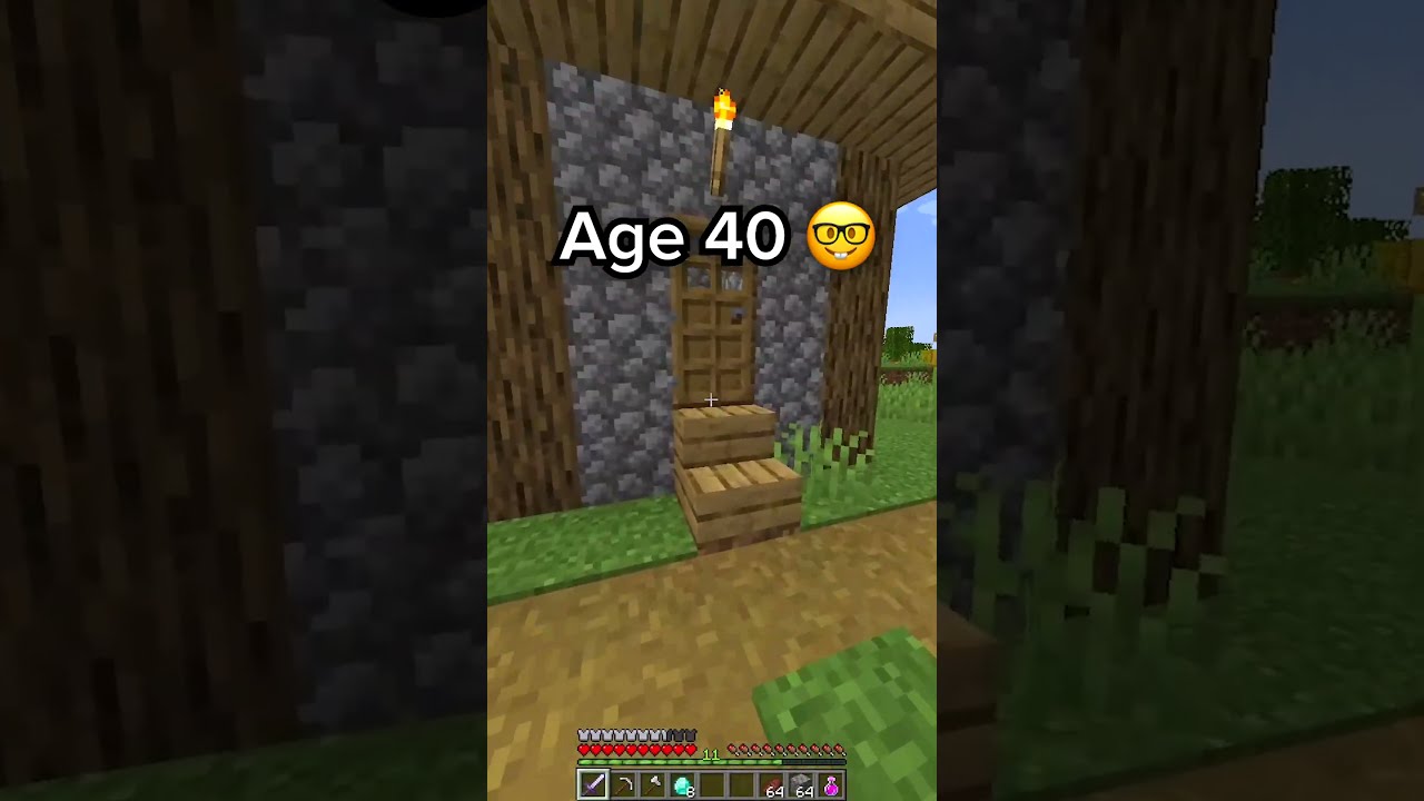 Minecraft Secret Bases At Different AGES 