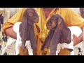 Top Class Goat Farming in Pakistan | Documentary