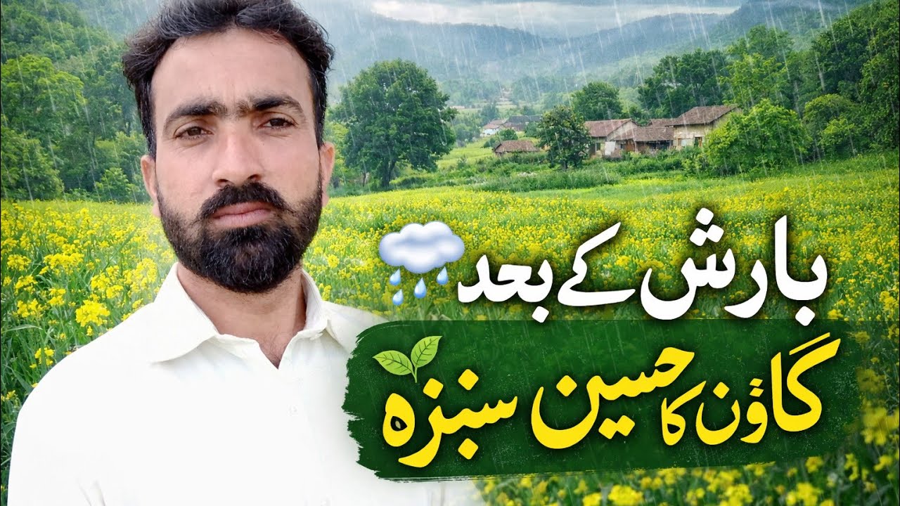  ‎سرسبز کھیت، نکھرا ہوا سبزہ اور دلکش مناظر | Lush Green Fields & Peaceful Nature