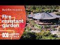 Fire resistant garden | Bushfire recovery | Gardening Australia