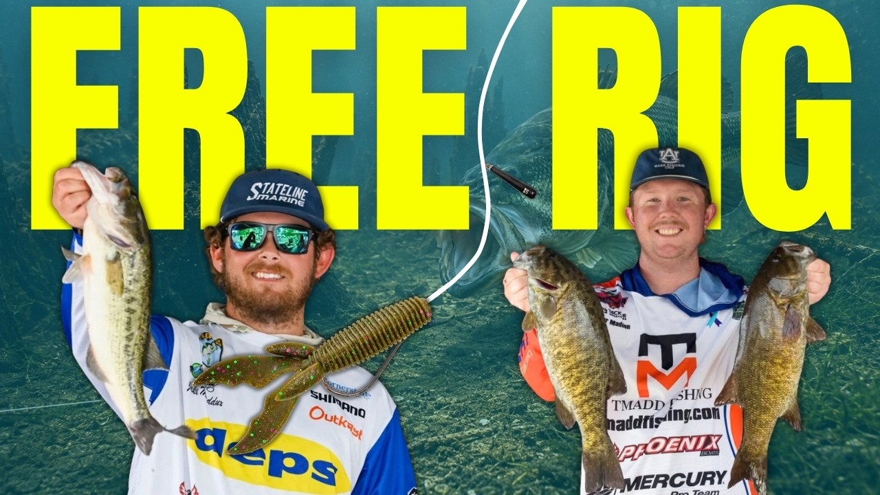 PRO Guide to Catching More & Bigger Bass with the FREE RIG!