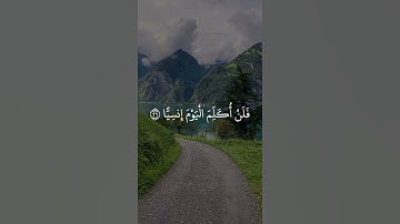 قالت ياليتني مت قبل هذا وكنت نسيا منسيا / سورة مريم ماهر المعيقلي