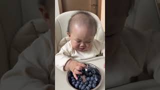Baby Coco Laughs Before Tasting Blueberries, Cute Reaction #baby #cutebaby #babyfeeding