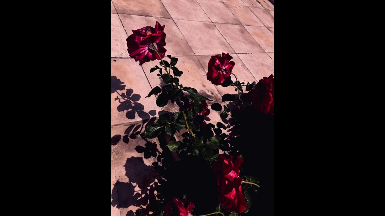 when the party’s over - Billie Eilish (Voice Memo - Cover) || Lara Marie