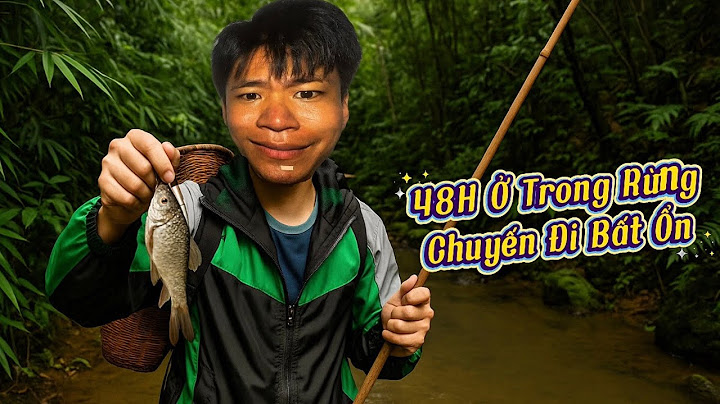 48H ở trong rừng và chuyến đi bất ổn 