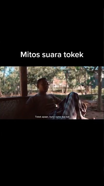 Mitos Suara Tokek 😂😂|| #kocak #lucu #receh #meme #ngakak