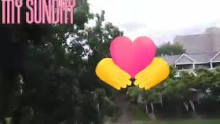 Sheikh Faisal Relaxing Voice