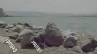 Dj Beter Defnenin Beni Onsuz Toplarina