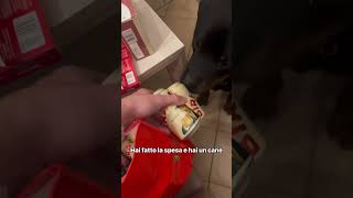 Il test della spesa con un Rottweiler! 🍗