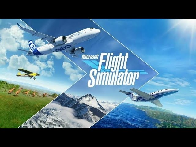 Esperando Microsoft Flight Simulator? Veja como jogar o simulador de voo  grátis da Google