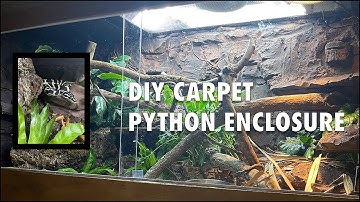 Carpet python enclosure from scratch - DIY