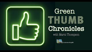 Green Thumb Chronicles: Keep It Covered