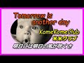 &quot;Tomorrow is another day&quot; 【KomeKomeClub 】米米クラブ/明日には明日の風が吹くさ