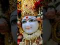 🙏🏻🌹😍 Dari mohni Dildar ne....#Shringardarshan#Ghanshyammaharaj#YouTubeshorts#Trendingnow#25June2026
