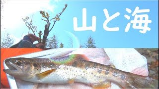 釣った天然ヤマメと旬の山菜で贅沢料理！！！