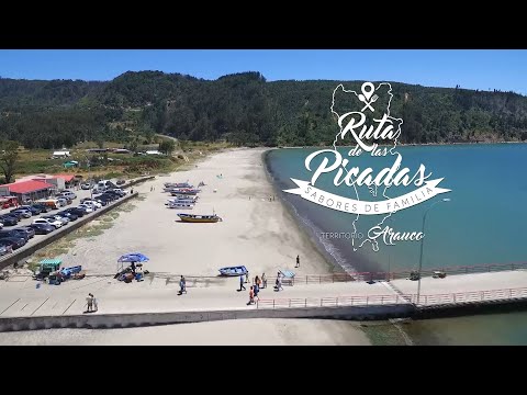 Ruta de las Picadas / Arauco / Chile / www.turismoregion.cl