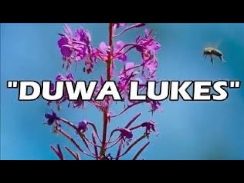 Duwa lukes   Moro song  Lyrics video