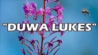 Duwa lukes - Moro song || Lyrics video