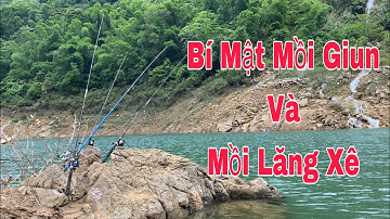 Câu Cá Thượng Nguồn Sông Đà: Bí Mật Mồi Giun và Mồi Lăng Xê | Móm Thủ Review