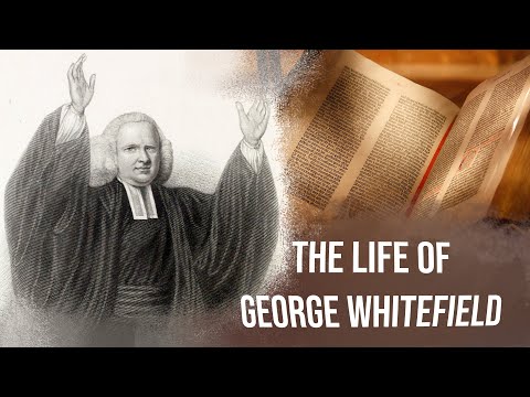 george whitefield great awakening biography of william