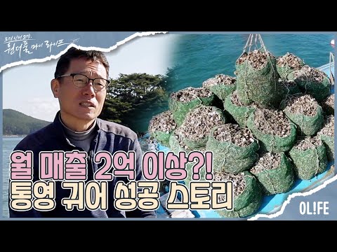 [#휴먼스토리] 20일에 2억 매출?! 반도체 회사를 퇴사 후 귀어하게 된 사연 I 원더풀 마이 라이프 I EP41 I 매주 수요일 저녁 8시 30분