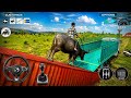 Crazy Buffalo Loading Challenge 🐃🚚 | Village Truck Simulator Gameplay