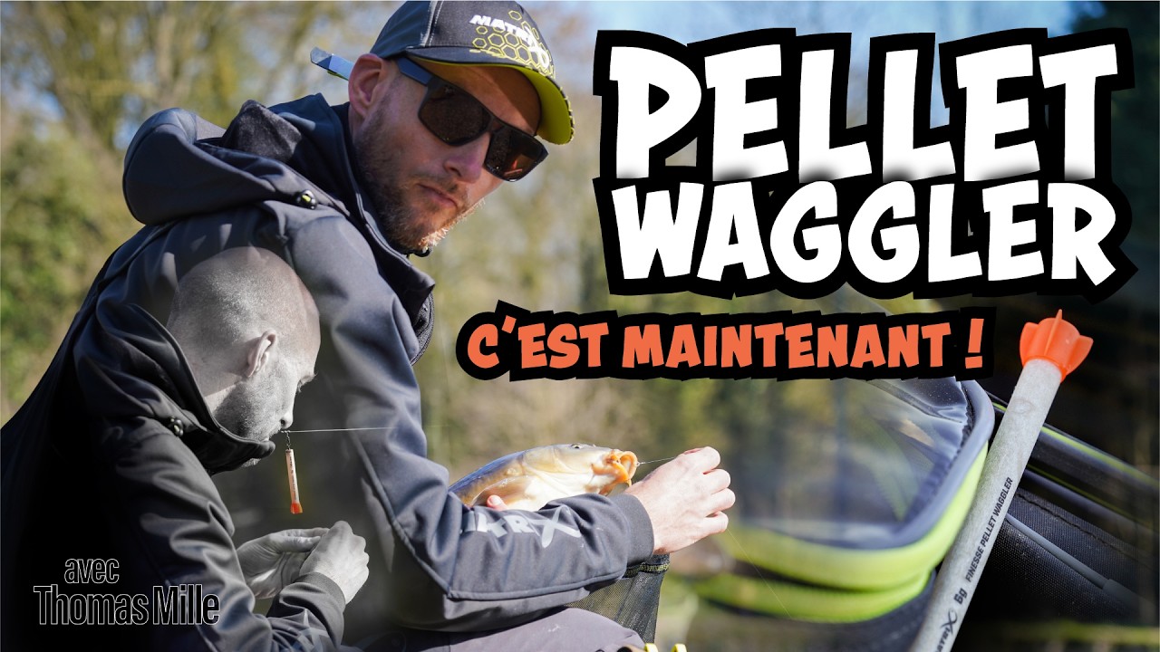 🎣🔥 Maîtrisez la pêche au Pellet Waggler avec Thomas Mille ! 🎯🐟