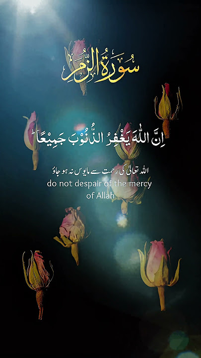 Surah Zumar Beautiful Quranic Verse #quranrecitation