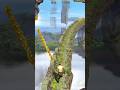 🔥 Temple Run Gameplay – Epic Run |#templerun #gaming #shorts