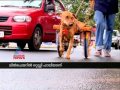 Asianet News Special: