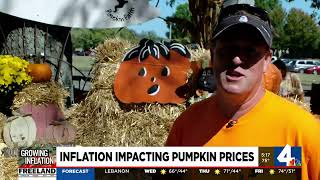 Inflation impacting pumpkin prices