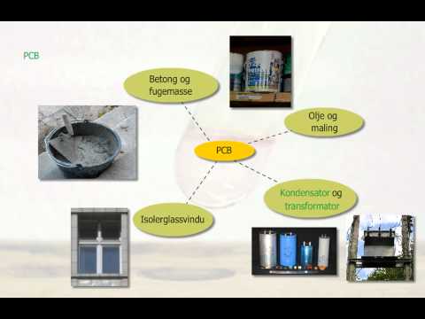 Video: Hurtig Generation Og Valg Af Cas9-engineering TRP53 R172P Mus, Der Ikke Har Effekter Uden For Mål