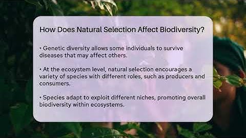 How Does Natural Selection Affect Biodiversity? - Ecosystem Essentials