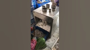 lotus roots slicer machine