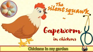 Gapeworm in chickens