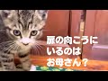 【扉の向こうにいるのはお母さん⁉️】タイピー日記【切り抜き】