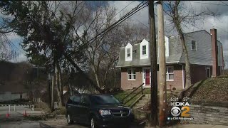 Heavy Winds Bring Massive Tree Down Onto Power Lines In Scott Twp.